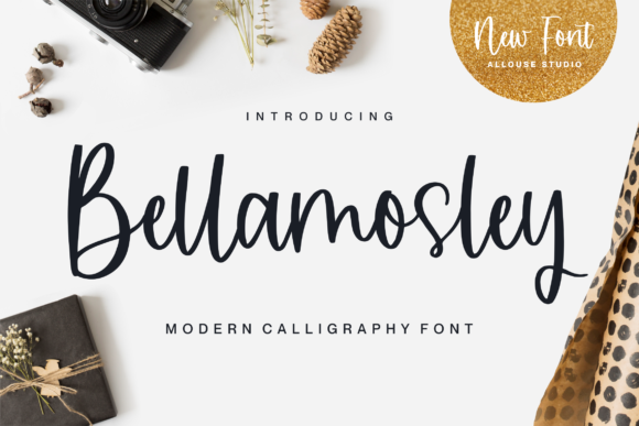 Bellamosley: A Playful Script Font for Web Design