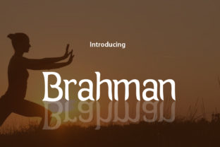 Brahman: A Classy Script Font for Modern Web Design