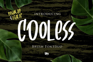 Cooless Font: Adding Funky Script to Web Design