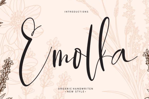 Emolka: A Designer’s Honest Review for Branding
