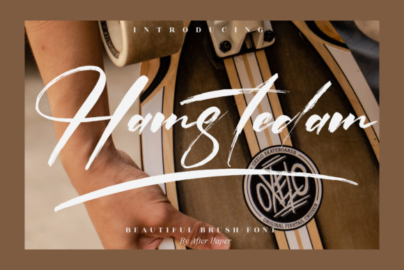 Hamstedam Font Review for Campaign Design