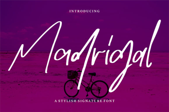 Madrigal: A Premium Script Font for Web Design