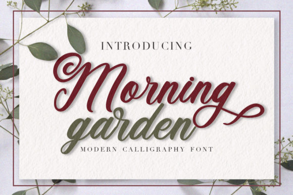 Morning Garden: The Script Font for Scroll-Stopping Content