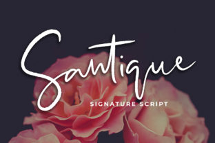 Santique: The Script Font That Elevates Your Brand